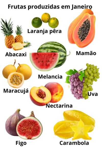 Imagem mostrando exemples de Frutas que são produzidas no mês de Janeiro.