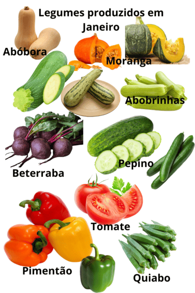 Imagem mostrando exemplos de Legumes produzidos em Janeiro.
