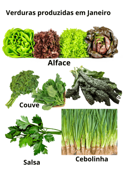 Imagem mostrando exemplos de verduras produzidas em Janeiro.
